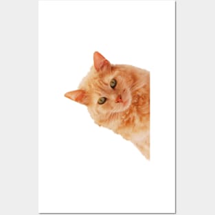 Cat Peekaboo Posters and Art